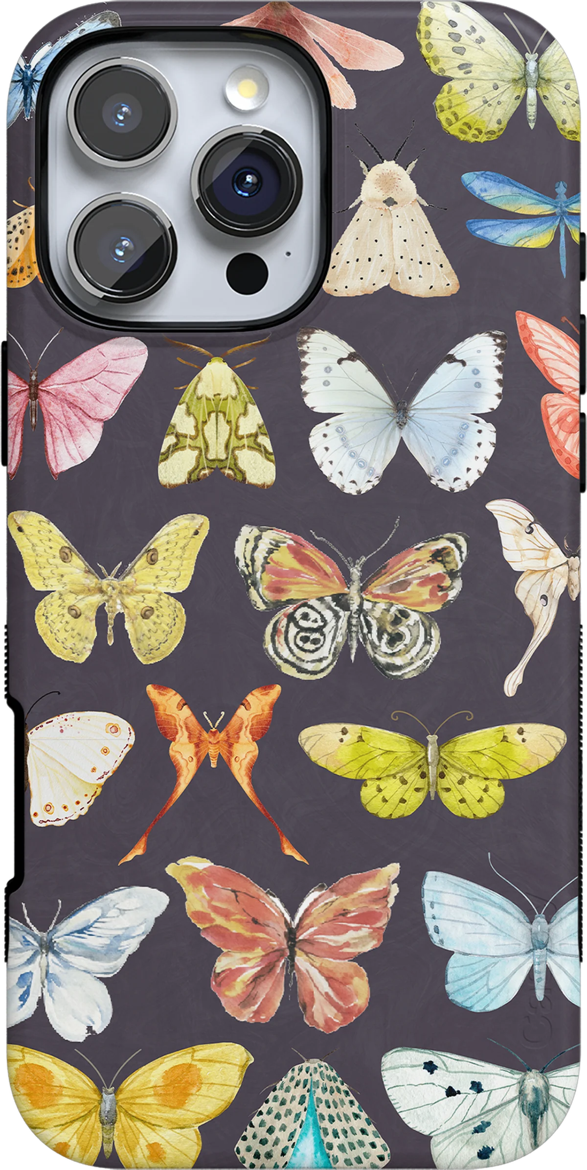 Midnight Monarch | Jenna Palek x Bans Case